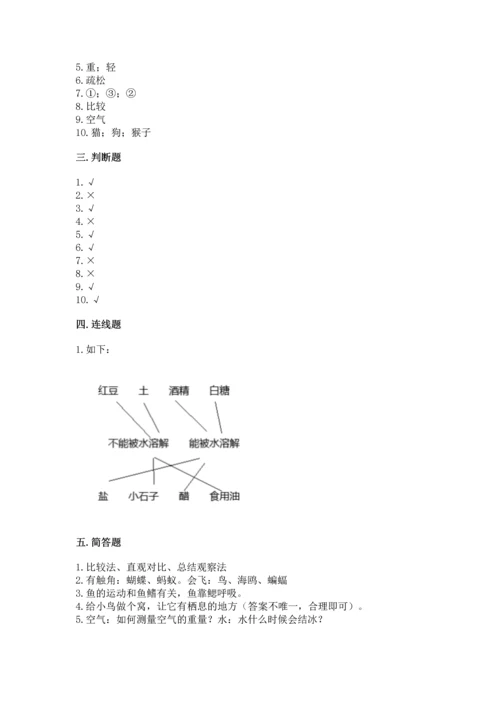 教科版一年级下册科学期末测试卷精品（黄金题型）.docx