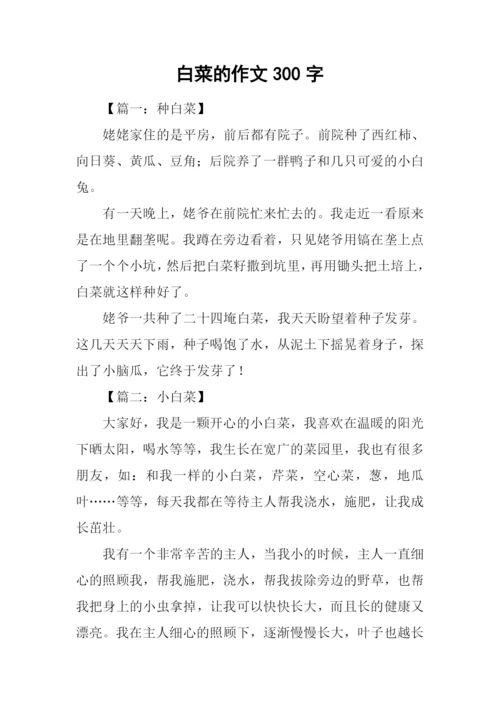 白菜的作文300字.docx