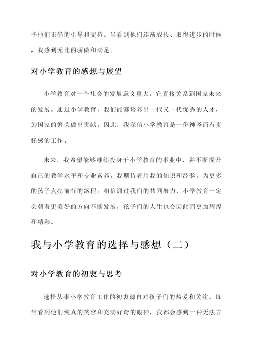 我与小学教育的选择与感想