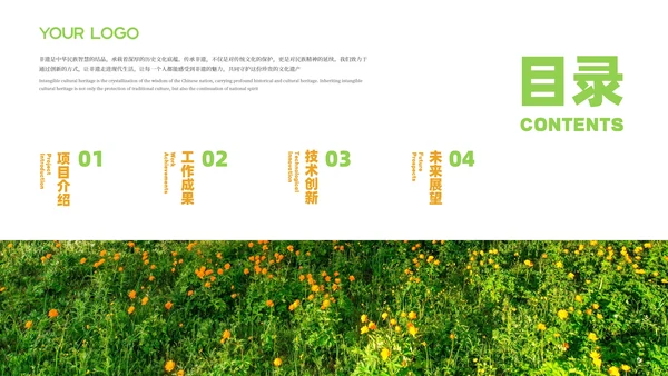 彩色简约风目录页PPT版式合集