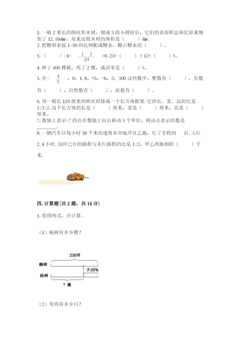 重庆市忠县六年级下册数学期末测试卷标准卷.docx