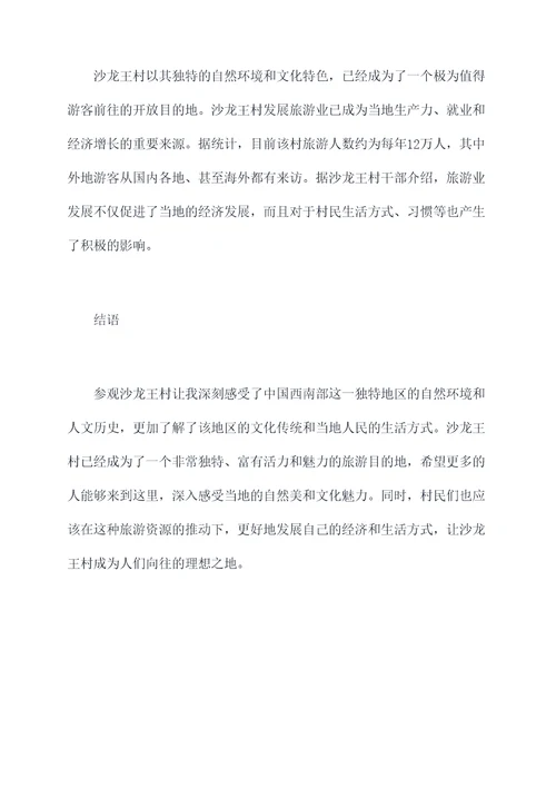 参观沙龙王村心得体会