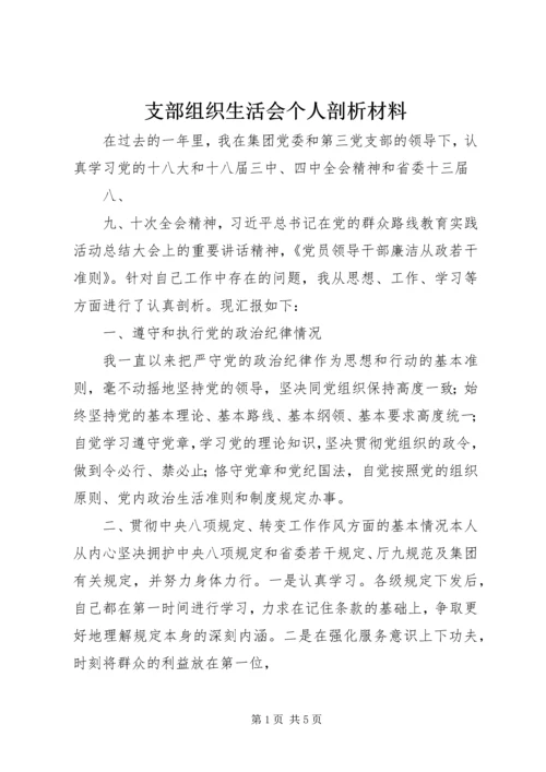 支部组织生活会个人剖析材料 (4).docx