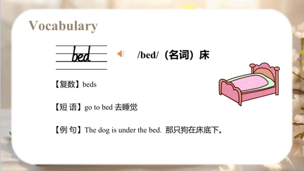 Module 9 Unit 1  I've got a new book 课件（共49张PPT）