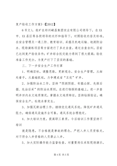 复产验收汇报材料_1 (3).docx