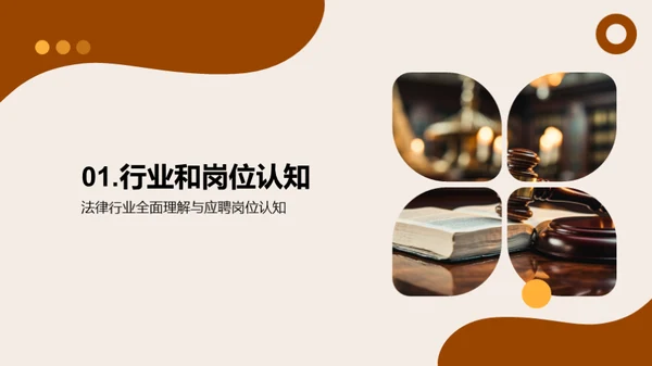 法律职业全景解析