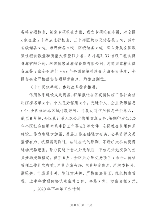 统计局半年总结及计划.docx