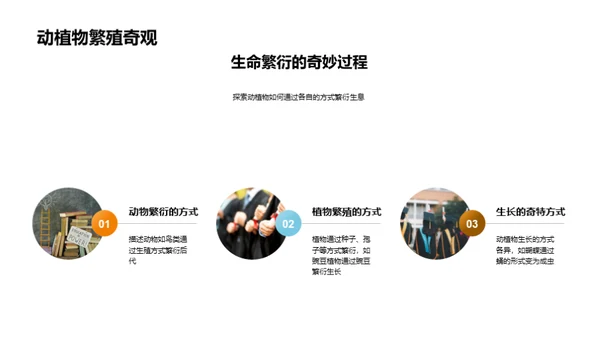 探索自然的奥秘