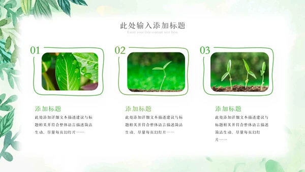 植物生长绿芽小树苗生长发芽成长ppt模板