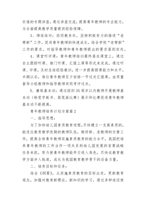 青年教师培养计划方案（精选11篇）.docx