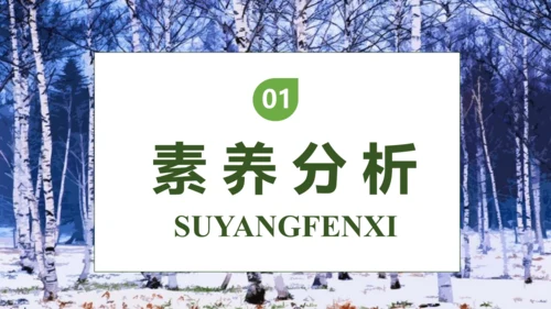 【核心素养】部编版语文四年级下册-11.白桦 第1课时（课件）