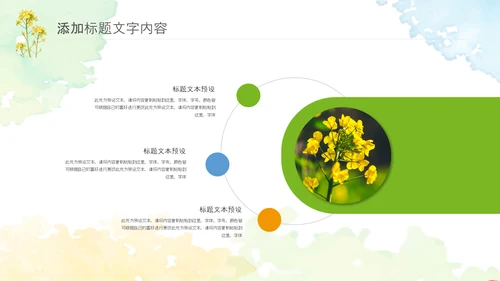 春天乡村旅游油菜花风景油菜花田PPT模板