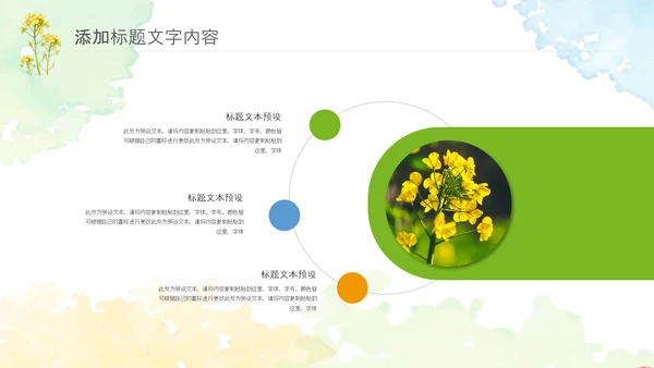 春天乡村旅游油菜花风景油菜花田PPT模板