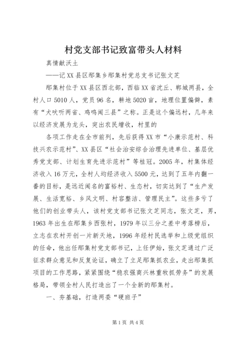 村党支部书记致富带头人材料 (3).docx