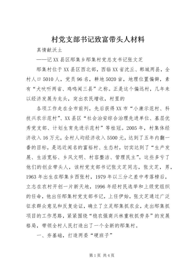 村党支部书记致富带头人材料 (3).docx