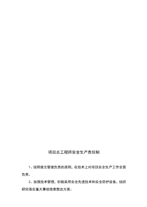 安全生产规章制度和操作规程.docx