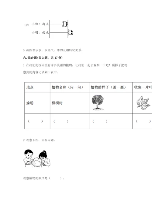 教科版一年级上册科学期末测试卷（实用）word版.docx