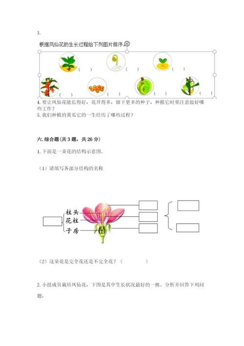 教科版四年级下册科学第一单元《植物的生长变化》测试卷精品【典型题】.docx