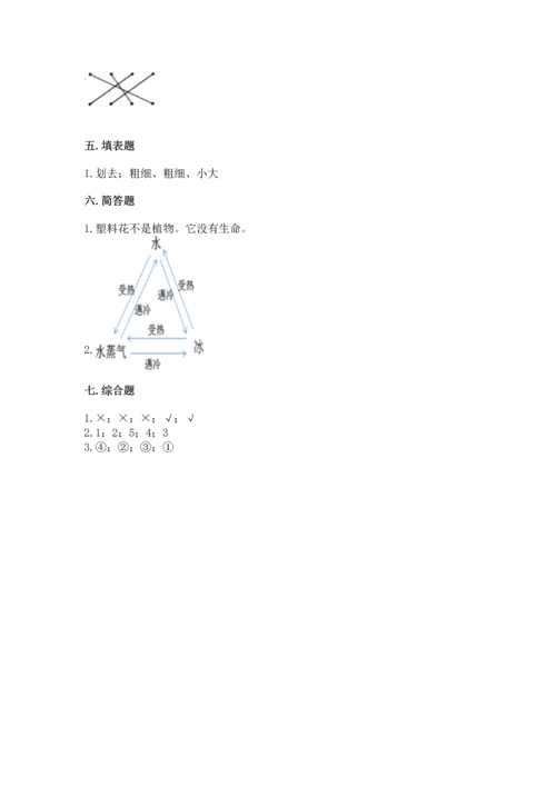 教科版科学一年级上册第一单元《植物》测试卷及完整答案（考点梳理）.docx