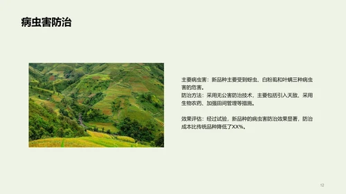 绿色现代农业新品种推广会发布会PPT模板