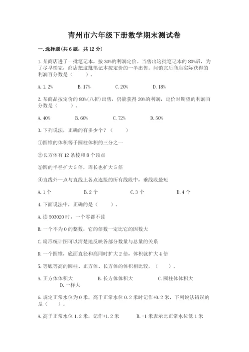 青州市六年级下册数学期末测试卷1套.docx