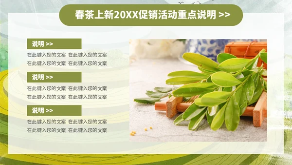 茶叶茶庄春茶产品上新介绍手册通用PPT模板