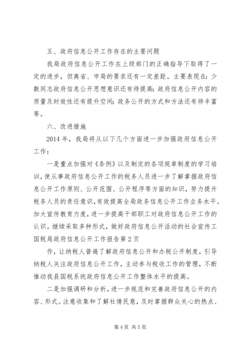 国税局政府信息公开工作报告.docx