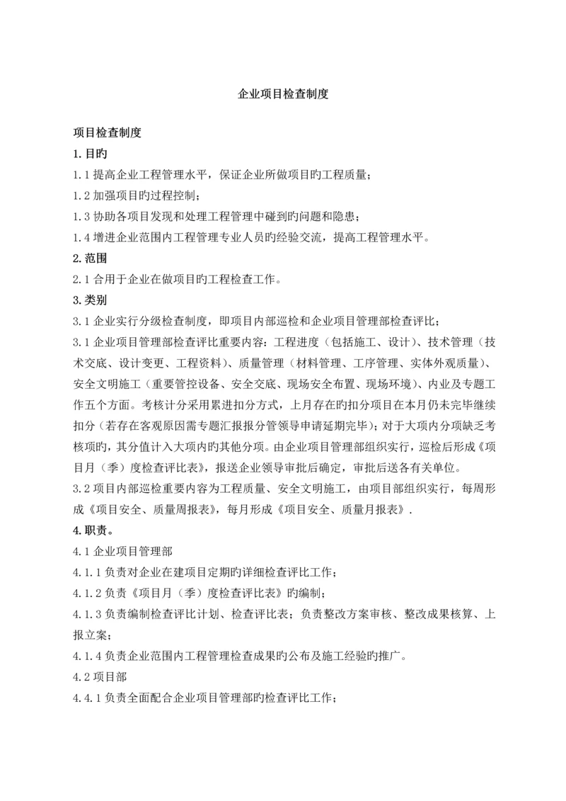 公司项目检查制度.docx