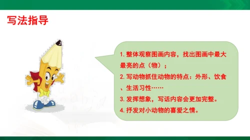 部编版二年级语文看图写话写动物课件