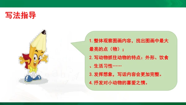 部编版二年级语文看图写话写动物课件
