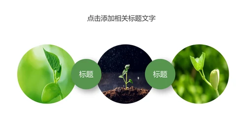唯美荷花传统文化立春主题班会动态PPT模板
