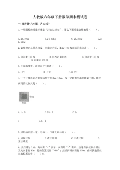 人教版六年级下册数学期末测试卷（典优）word版.docx