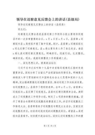 领导在巡察意见反馈会上的讲话(县级局).docx