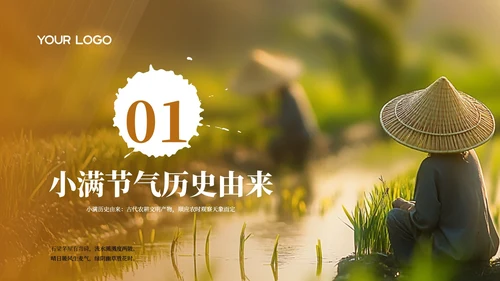橙色小满节气农谚里的智慧传承PPT模板