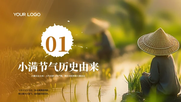 橙色小满节气农谚里的智慧传承PPT模板