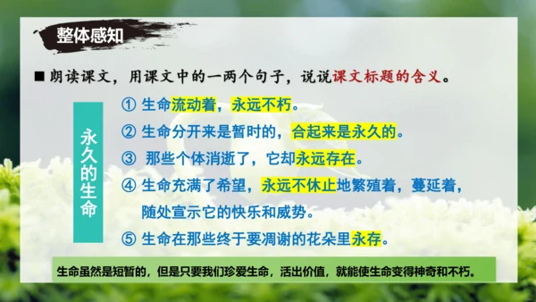 第16课 散文二篇 《永久的生命》课件