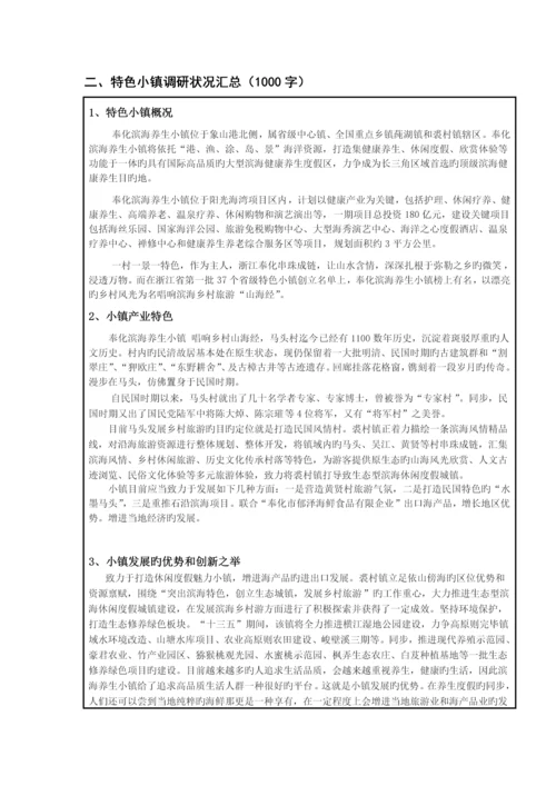 特色小镇产品出口营销策划方案.docx