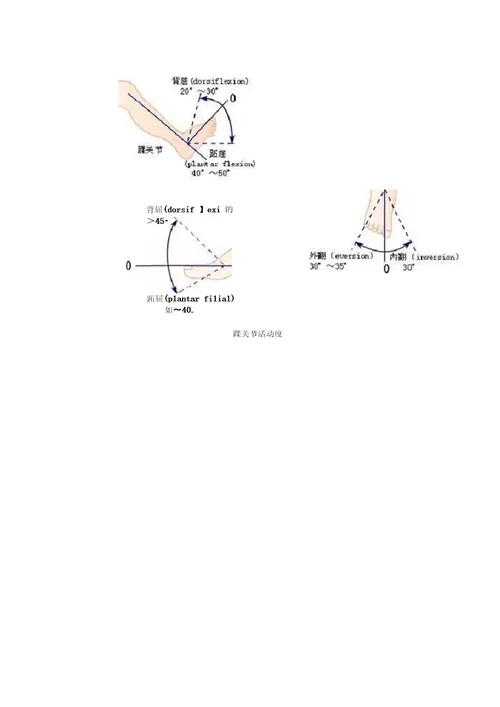 完整版图文,关节活动度测量方法和正常范围