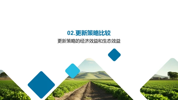 农林更新：投资与回报