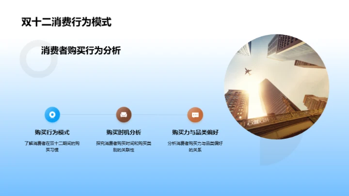 双十二消费洞察解析