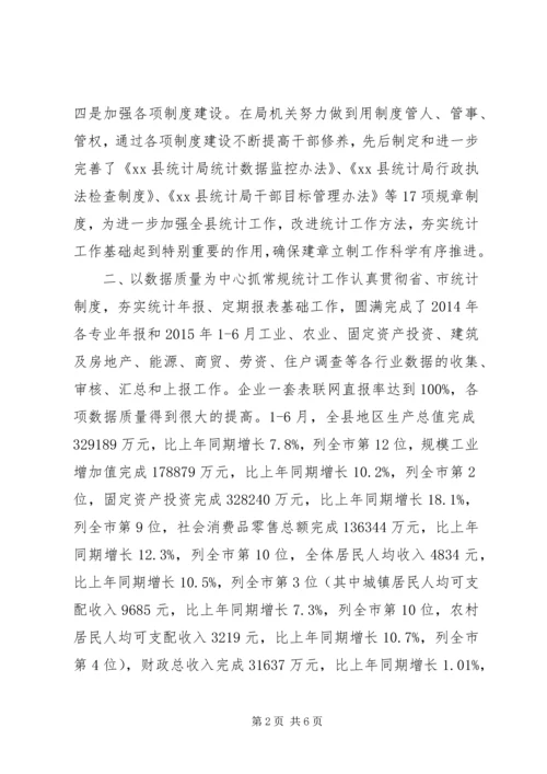 乡镇统计局上半年工作总结和下半年工作要点.docx