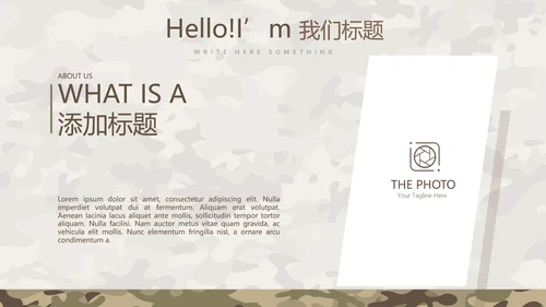 武警工作总结动态PPT