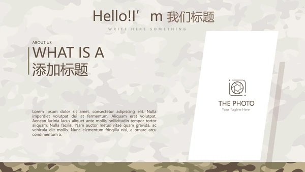武警工作总结动态PPT