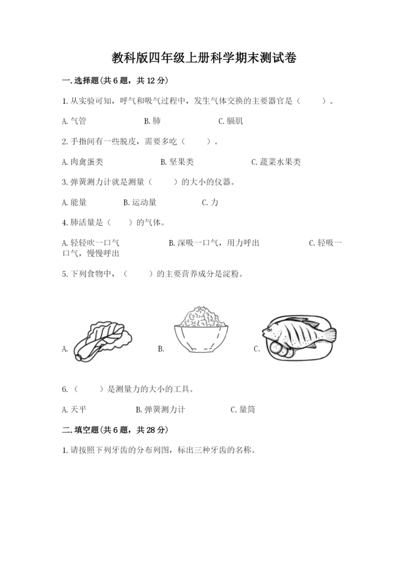 教科版四年级上册科学期末测试卷（易错题）.docx