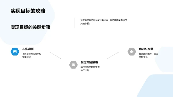 公司发展与战略规划