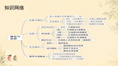 初中生物学人教版（新课程标准）七年级下册4.4.4 输血与血型课件(共19张PPT)