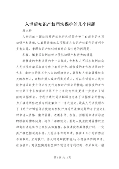 入世后知识产权司法保护的几个问题.docx