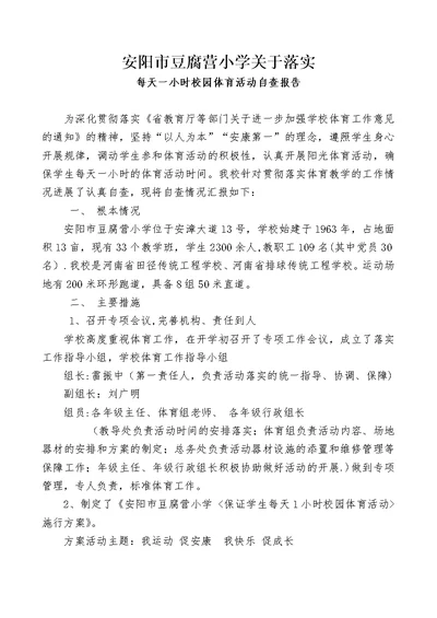 一小时校园体育活动的自查报告