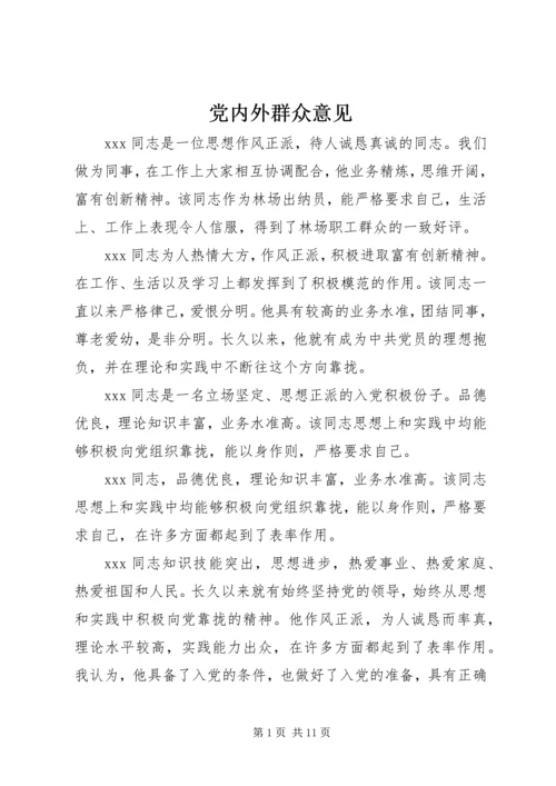 党内外群众意见.docx