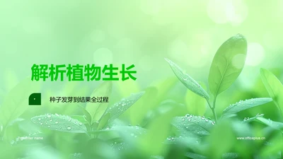 解析植物生长PPT模板